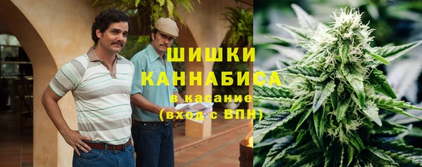 гидра Армянск